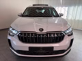 Daumennagel 2 - Skoda Kodiaq 2.0 TDI 4x4 Selection 7 SITZE LEDER PANO