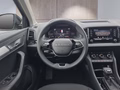 Daumennagel 14 - Skoda Karoq 1,5TSI DSG 18*Alu/aAHK/ACC/Kamera/Winterp.       **