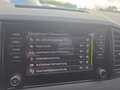 Daumennagel 43 - Skoda Karoq 1,5TSI DSG aAHK/ACC/Kamera/Winterp.       **