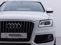 Daumennagel 7 - Audi Q5 2.0 TDI 140 kW quattro /S-LINE/RFK/NAVI/PDC/SHZ/