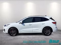 Daumennagel 3 - Ford Kuga 2.5 Duratec PHEV ST-LINE X LED NAVI Winter