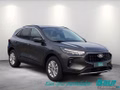 Daumennagel 2 - Ford Kuga 2.5 Duratec PHEV TITANIUM Winter-Paket LED