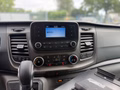 Daumennagel 12 - Ford Transit Kasten 350 L2H2 Limited/Kamera/AHK/PDC