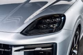 Daumennagel 7 - Porsche Cayenne E-Hybrid*Panorama*AHK