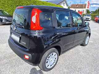 Fiat Panda Pandina Pop 1.0 Hybrid | Klima | PDC | Tempomat - bilder 3
