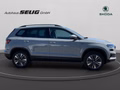 Daumennagel 5 - Skoda Karoq 2.0 TDI DSG 4x4 Drive, ACC, AHK, ACC, Navi, Kamera, El.Heckklappe, ....