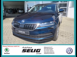Skoda Karoq 2.0 TDI 4x4 DSG Style, ACC, Navi, LED, AHK, Kamera, ...