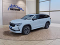 Daumennagel 1 - Skoda Kodiaq Sportline 1,5 TSI iV aAHK/Pano/Matrix/Navi  **