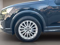 Daumennagel 15 - Audi Q2 40 TFSI quattro design Leder LED NAVI KAM PDC