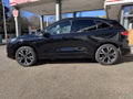 Daumennagel 4 - Ford Kuga 2.5 Duratec PHEV ST-LINE