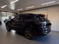 Daumennagel 9 - Porsche Cayenne E-Hybrid Platinum Edition