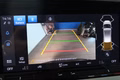 Daumennagel 13 - Ford Grand Tourneo Connect Active PHEV PANO/ACC/RFK