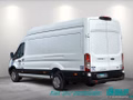 Daumennagel 4 - Ford Transit 350 L4H3 Lkw HA Trend Trennwand Metall