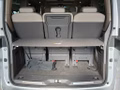 Daumennagel 10 - Volkswagen T7 Multivan Style PANO/FAHRWERKADAPTIV/AHK/RFK