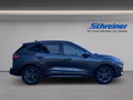 Daumennagel 6 - Ford Kuga Plug-In Hybrid ST-Line X