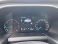 Daumennagel 11 - Ford Titanium 320 L1 Tourneo