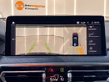 Daumennagel 19 - BMW X4 M40 LED/LEDER/HUD/AHK/STHZ/PANO/VIRTUAL COCKPIT