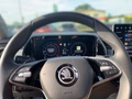 Daumennagel 8 - Skoda Kodiaq 2.0 TDI DSG 4x4 Selection AHK, 360°,