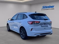 Daumennagel 3 - Ford Kuga Plug-In Hybrid ST-Line