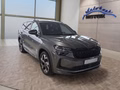 Daumennagel 7 - Skoda Kodiaq Sportline 2,0TDI DSG 4x4 AHK/4*J.Gar/Navi/el.Klappe/Kamera  **