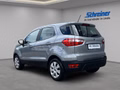 Daumennagel 3 - Ford EcoSport Cool & Connect