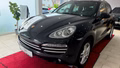 Daumennagel 2 - Porsche Cayenne Diesel 1:Hand*Scheckheft PZ*Kamera*GSD
