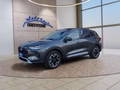 Daumennagel 1 - Ford Kuga Active 2.5 Plug-in-Hybrid 5*J.Gar/Winterp/LED/Navi  **