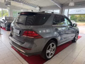 Daumennagel 9 - Mercedes-Benz GLE 350 d 4Matic*Panorama