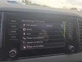 Daumennagel 39 - Skoda Karoq 1,5TSI DSG aAHK/ACC/Kamera/Winterp.       **