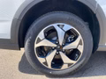 Ford Grand Tourneo Connect Active AWD - bilder 17