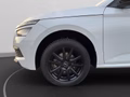 Daumennagel 10 - Skoda Kamiq 1.0 TSI Ambition