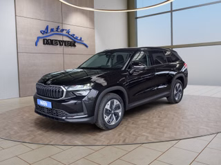 Skoda Kodiaq age.one-day registration Kaufen