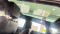 Daumennagel 14 - Land Rover Range Rover Evoque Autobiography Hybrid
