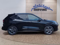 Daumennagel 6 - Ford Kuga ST-Line 1,5 186PS Aut.5*J.Gar/Navi/Kamera/Winterp.  **