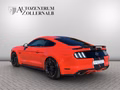 Daumennagel 4 - Ford Mustang GT 5.0 V8 *RECARO*SPORT-ABGAS*H&R*MAXTON