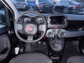 Daumennagel 12 - Fiat Panda 1.0 GSE *1.HAND*WENIG KM*KLIMA*DAB*