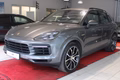 Daumennagel 1 - Porsche Cayenne E-Hybrid PASM*MATRIX-LED