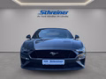 Daumennagel 8 - Ford Mustang GT Convertible