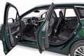 Daumennagel 6 - BMW 220d Active Tourer Luxury Line MASSAGE/AHK/HUD