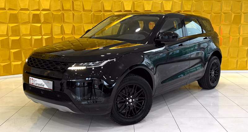 Land Rover Range Rover Evoque Basis /LED/CAM/SPURASS/NUR 61TSKM/