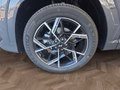 Daumennagel 15 - Hyundai TUCSON 1,6T HEV N Line UPE=52000 Euro!        **