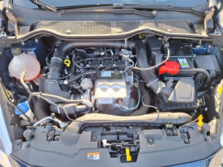 Ford Fiesta Trend 1.0 Navi DAB PPS V+H - foto 10