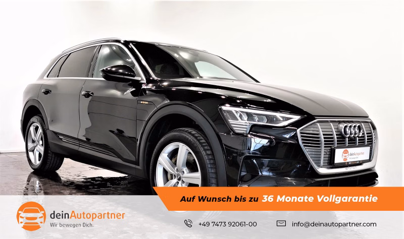 Audi e-tron 55 quattro Leder ACC HuD LED Pano Rfk