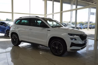 Skoda Karoq age.one-day registration Kaufen