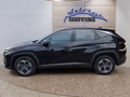 Daumennagel 2 - Hyundai TUCSON 1.6 T-GDI HEV 239PS Navi/LED/Kamera/Keyless   **
