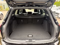 Daumennagel 7 - Ford Focus Turnier 1.0 EcoBoost Hybrid Aut. ST-Line X