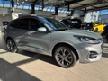 Daumennagel 7 - Ford Kuga PHEV ST-Line + iAcc + AHK + Kamera
