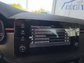Daumennagel 42 - Skoda Kamiq Monte Carlo 1,5TSI DSG 5*J.Gar/Kessy/Matrix/Winterp/Kamera