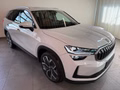 Daumennagel 3 - Skoda Kodiaq 2.0 TDI 4x4 Selection 7 SITZE LEDER PANO