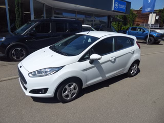 Ford Fiesta Gebrauchtwagen Kaufen
